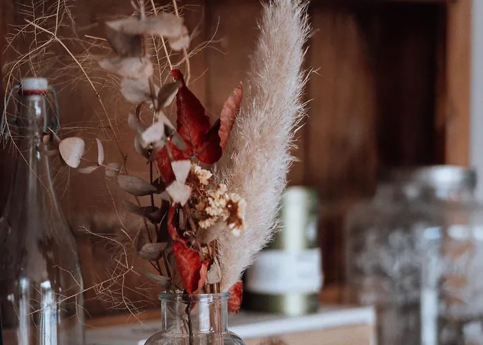 Surf D'hotes ביאריץ