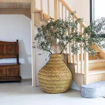 Surf D'hotes Bed & Breakfast Biarritz